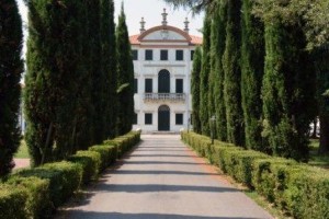 centro cardinal g urbani zelarino